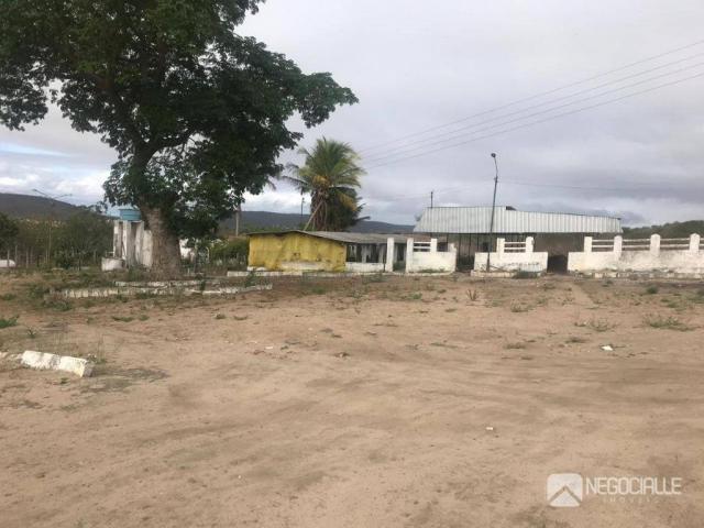 Excelente granja em são josé da mata (10 hectares) - Foto 3