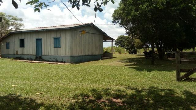 Fazenda Produtiva de Frango P/Frigor Projeto Aprovado - Nova Marilândia - 7 Km da Cidade - Foto 9