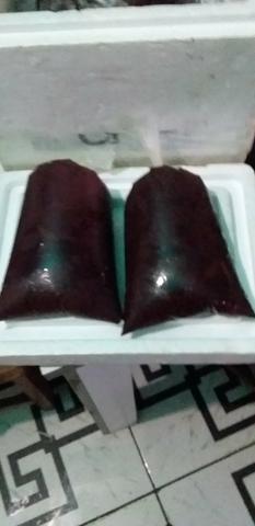 Vende-se açaí e polpa - Foto 2