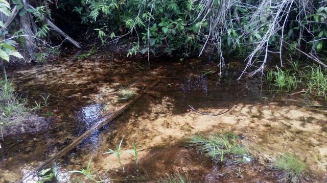 Fazenda Produtiva de Frango P/Frigor Projeto Aprovado - Nova Marilândia - 7 Km da Cidade - Foto 14