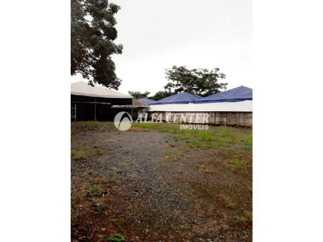 Área para alugar, 1000 m² por r$ 2.000/mês - setor castelo branco - goiânia/go - Foto 5