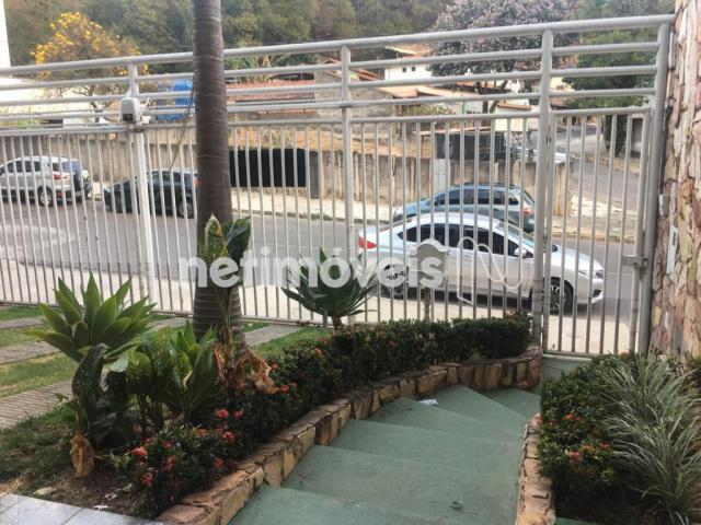 Casa à venda com 5 dormitórios em Álvaro camargos, Belo horizonte cod:765414 - Foto 3