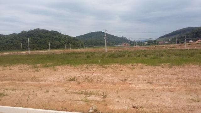 Terreno em Guaramirim - Foto 4
