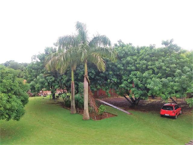 Chácara 10.000 m² próximo ao Icle (Porto dourado) Foz do Iguaçu - Foto 12
