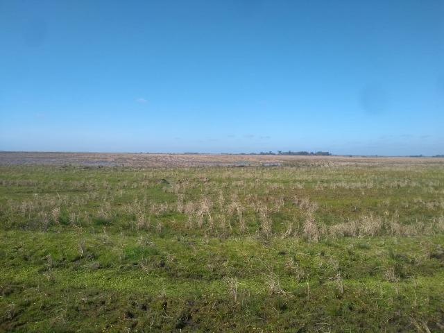Área de terra 154 ha em Mostardas-Rs - Foto 6