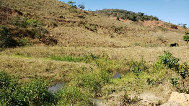 Fazenda 42 Alqueires em Campanário/MG, região de Governador Valadares/MG - Foto 7