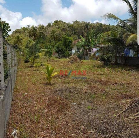 Terreno à venda, 800 m² por r$ 130.000 - olivença - ilhéus/ba - Foto 8