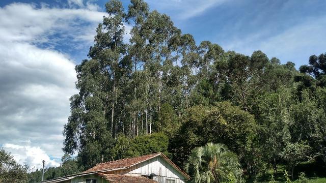 Fazenda Terreno Rural Sitio Chácara Gado - Foto 4
