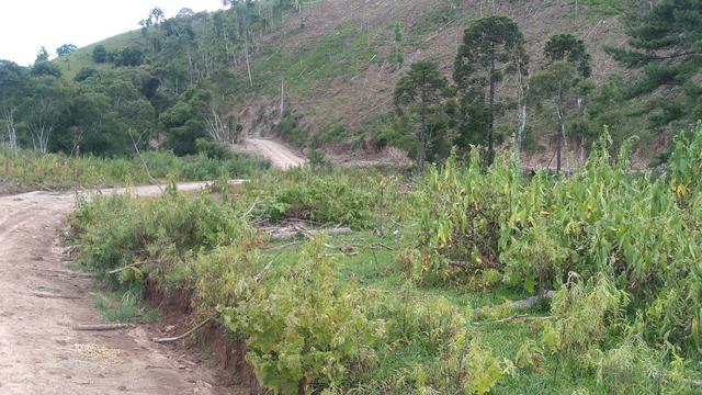 Fazenda Terreno Rural Sitio Chácara Gado - Foto 6