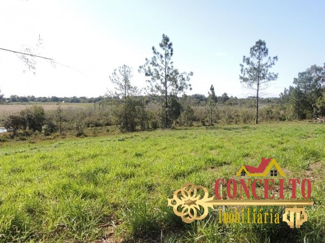 Excelente propriedade com 38.000m² de frente para rua pavimentada - confira - Foto 10