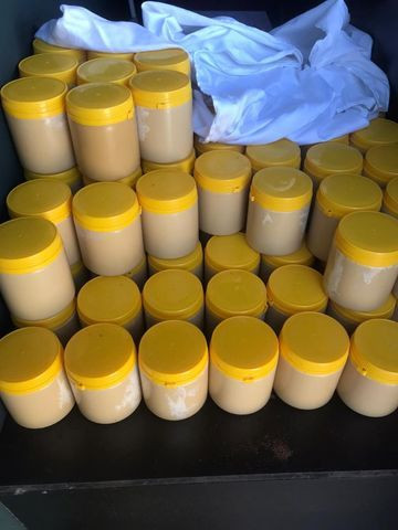 Mel de Abelha Puro- Eucalipto - Direto do produtor - Potes de 1KG - Foto 3
