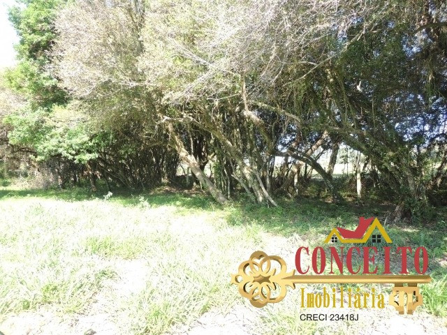 Excelente propriedade com 38.000m² de frente para rua pavimentada - confira - Foto 4