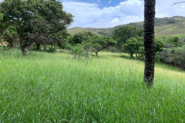  Fazenda de 122 ha, nascente de água cristalina (Temos varias opções). - Foto 5