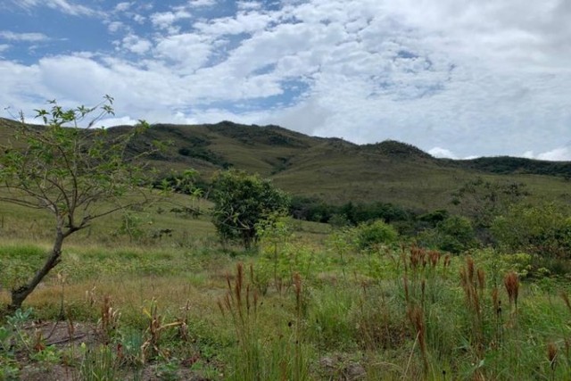  Fazenda de 122 ha, nascente de água cristalina (Temos varias opções). - Foto 3