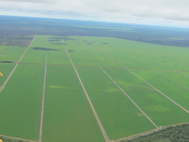 R$300 Milhões                         Fazenda de 10.955 hectares Dueré-TO - Foto 2