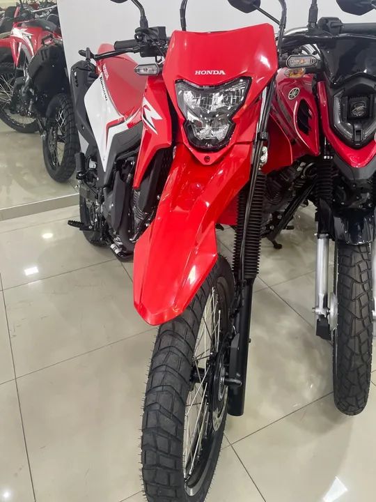 HONDA TORNADO XR 300L 2024