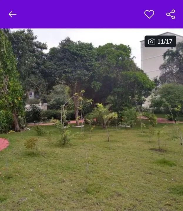 Apartamento pra alugar - Foto 6