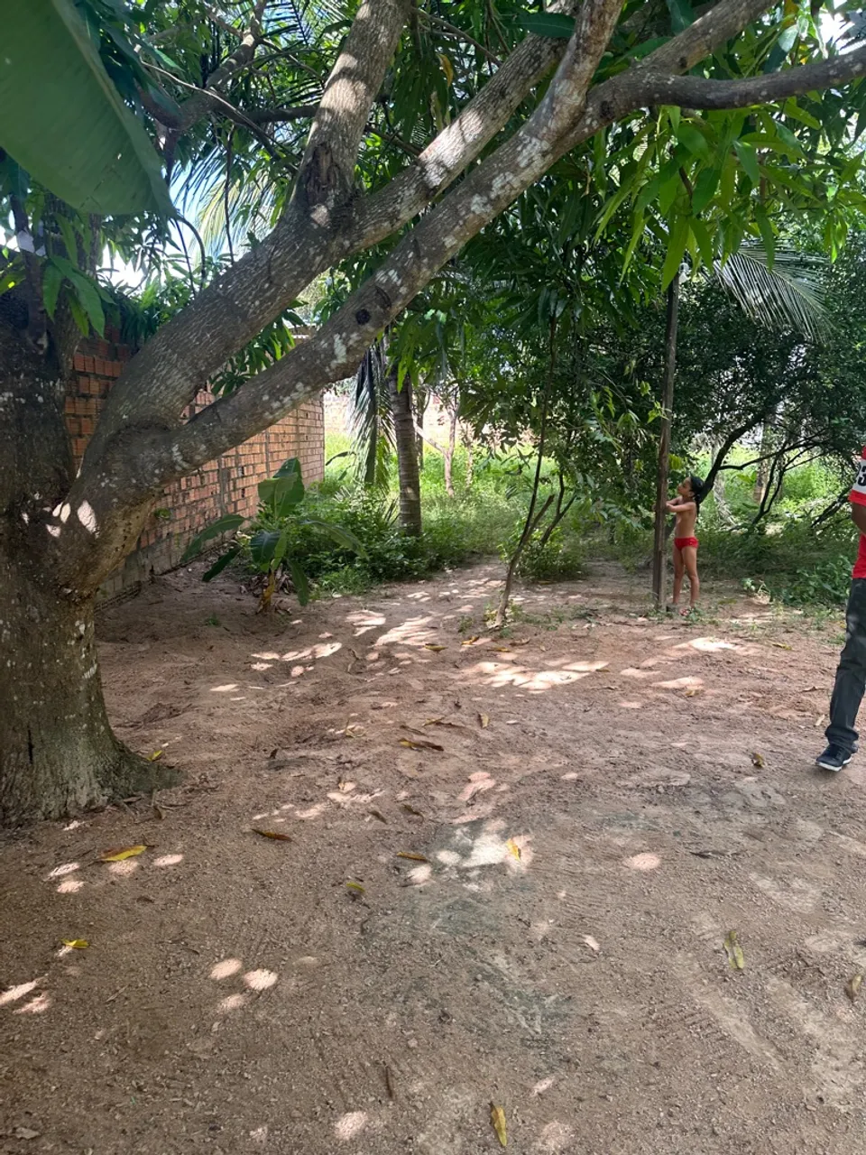 Terreno 