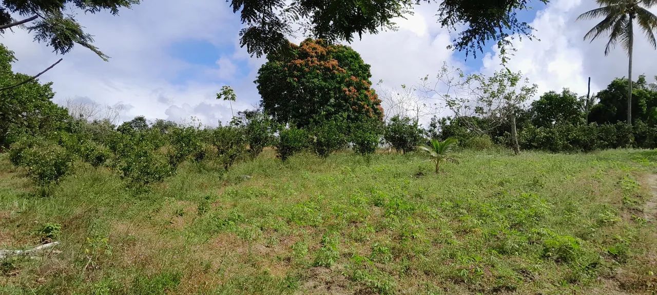 Sitio 3 taferas itaporanga  - Foto 12