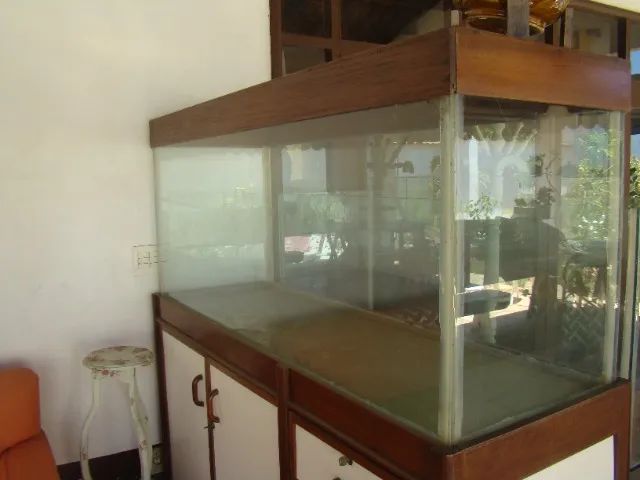 Aquário 160x50x70 Vidro10mm 500 Litros Com Móvel - Foto 5