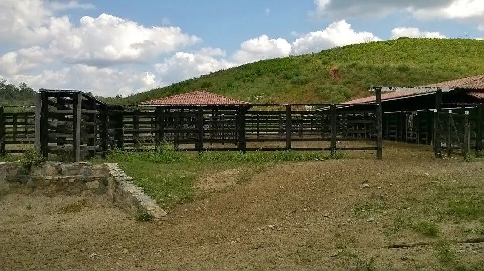 Fazenda  para venda. Com 1.419 ha em Jequitibá - Mundo Novo - BA. - Foto 2
