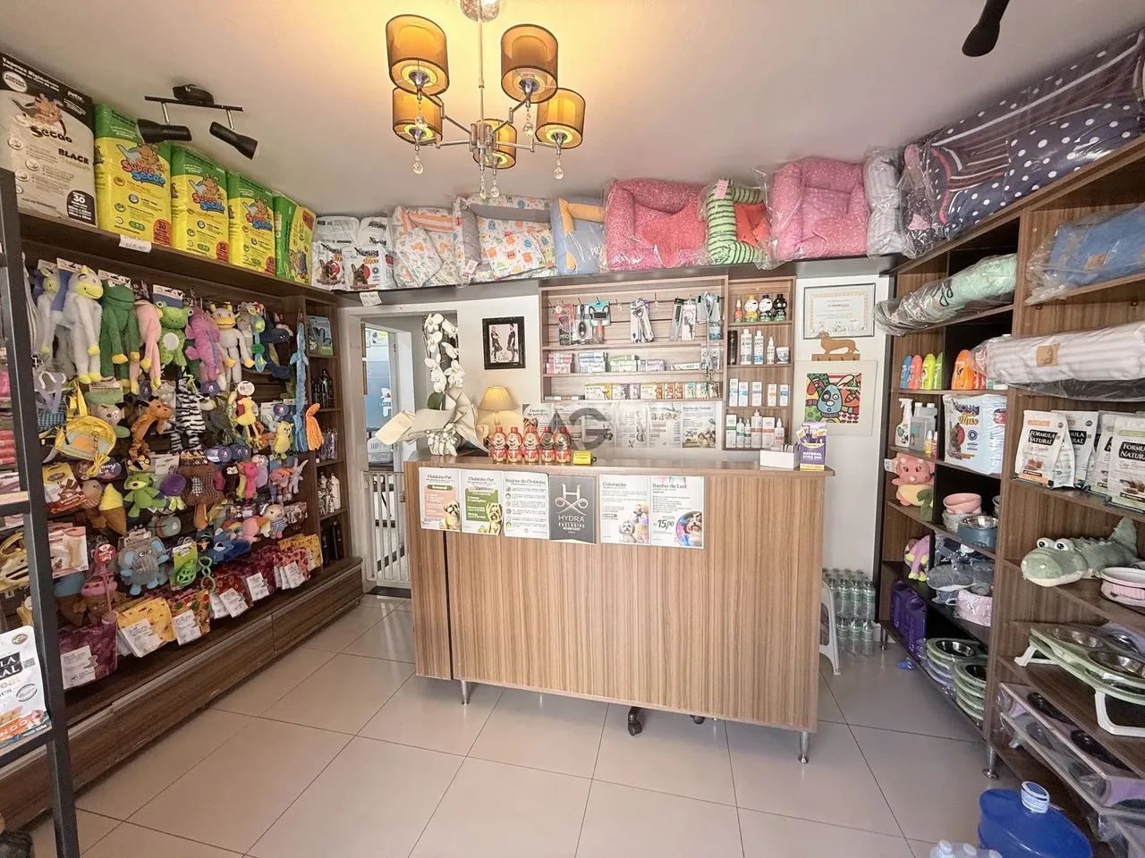 Casa Comercial | 100% Térrea | Centro | Ótima Versatilidade | em Serra Negra-SP - Foto 2