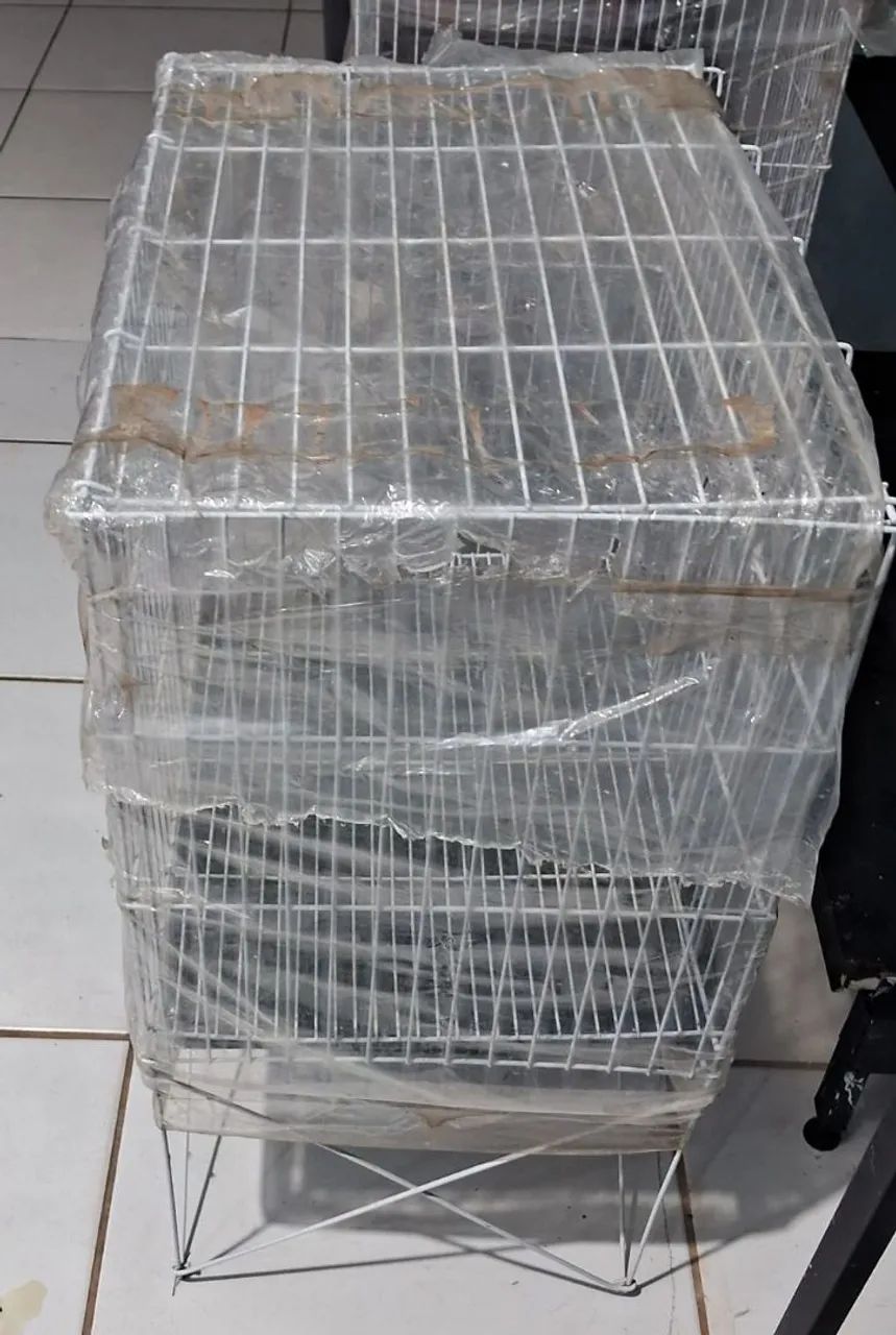 Gaiola para roedores