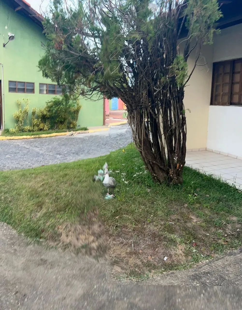 Imóvel para aluguel com 60 metros quadrados com 2 quartos - Foto 5