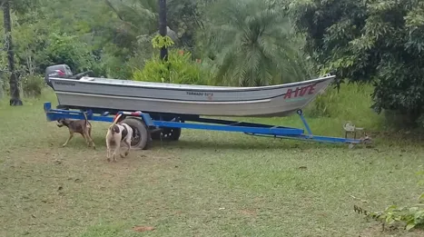 Barco a Motor com Caretinha de duas Rodas em excelente estado de Conservação
