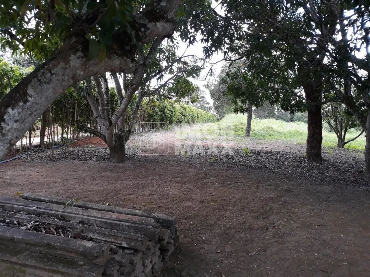 Chácara formada, excelente oportunidade, margem Rio Maranhão, pomar, em Planaltina DF. - Foto 10