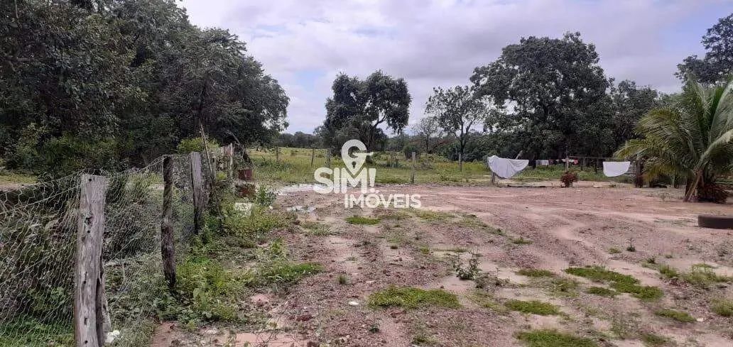 EXCELENTE CHACARA EM ABREULANDIA COM 10 ALQUEIRES! - Foto 3