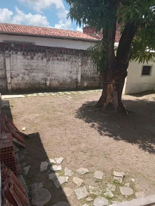 Limpeza Na Roçadeira  - Foto 4