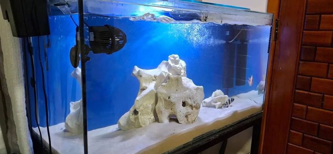 Aquário 200 litros COMPLETO - Foto 4