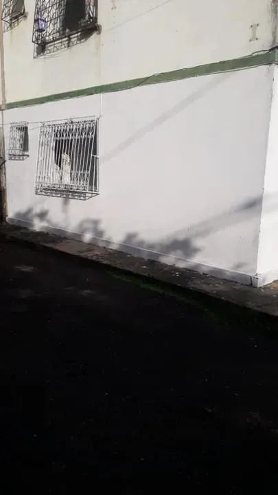 Foto - Salvador - Boca da Mata