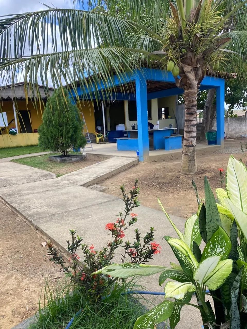 Vendo Sítio com 2 Tarefas na Escritura em São Domingos-se vista pra Serra da Miaba