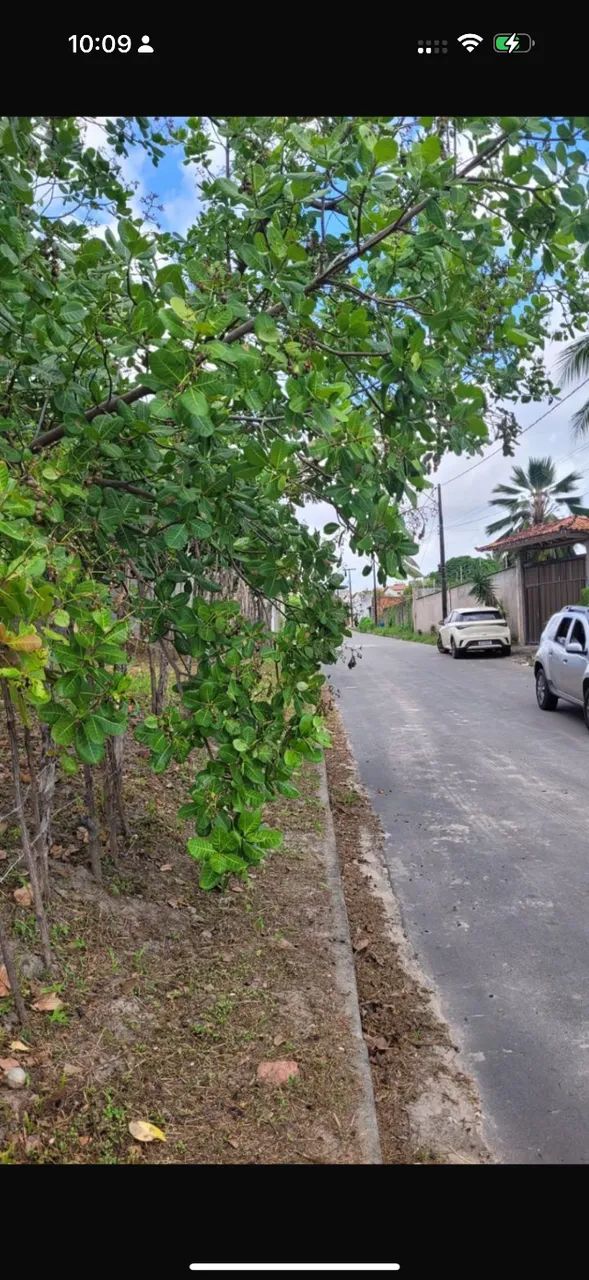 Vende-se Terreno Prox- LE BARON ( rua pavimentada) - Foto 2