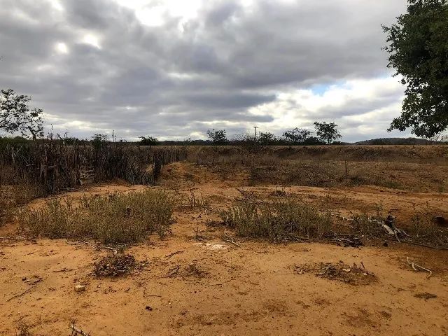 Área em Curaça - BA - Foto 3