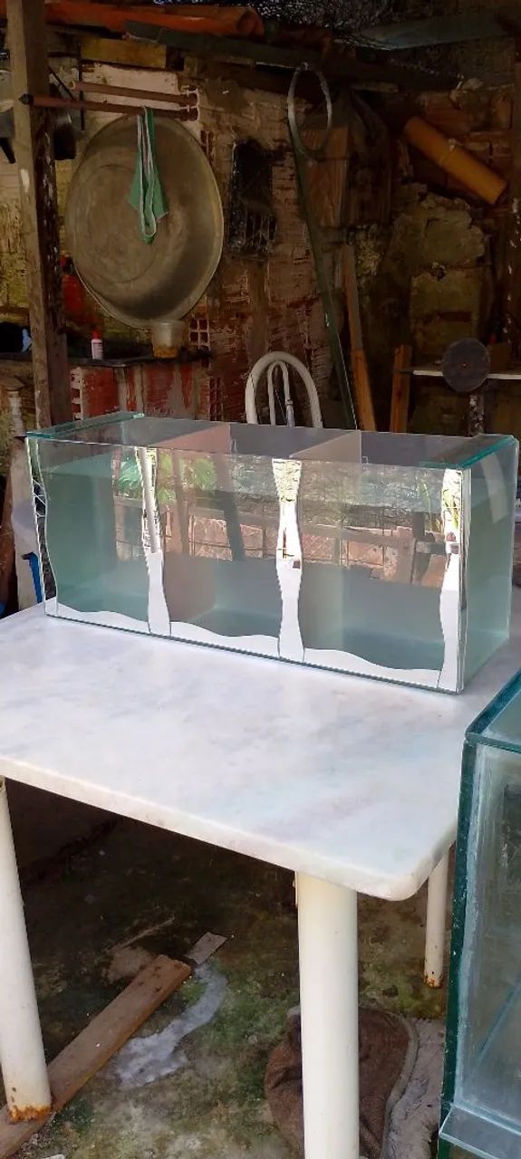 Aquário de vidro 3 compartimentos