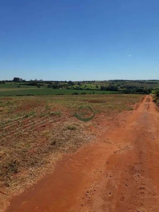 Fazenda à venda, 919600 m² por R$ 22.000.000,00 - Vila - Astorga/PR - Foto 5