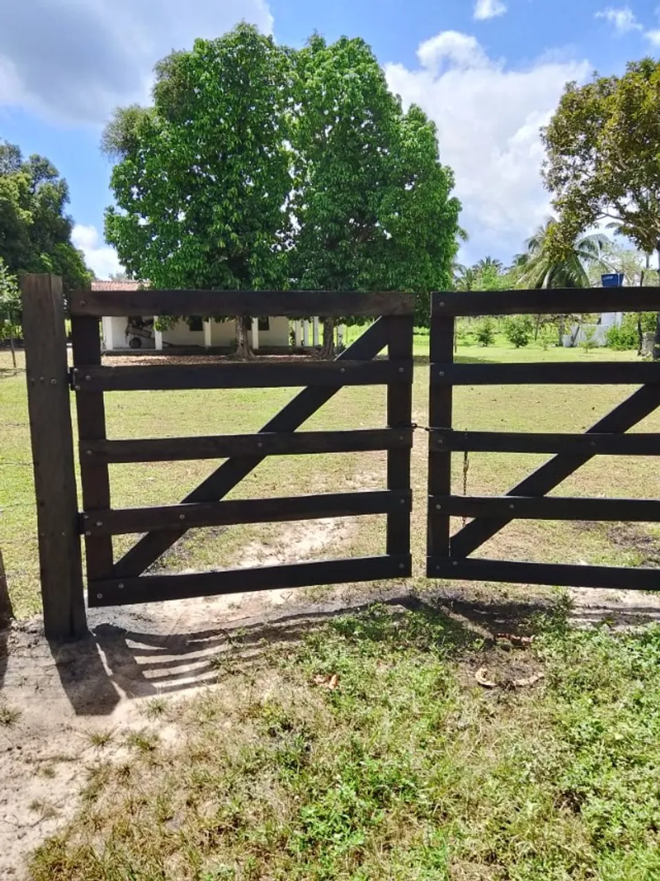 Fazenda em Itapecuru-mirim - MARANHÃO