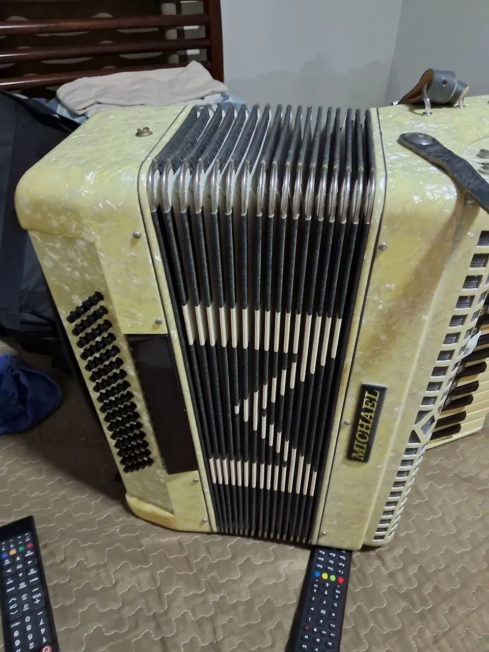 Acordeon Michael