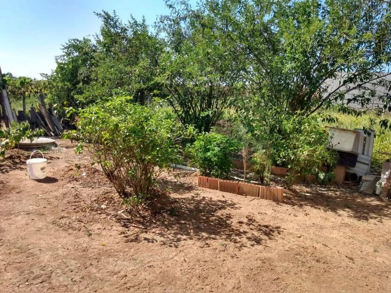 Chácara à venda em Jacutinga, A Definir, com 1000 m² - Foto 3
