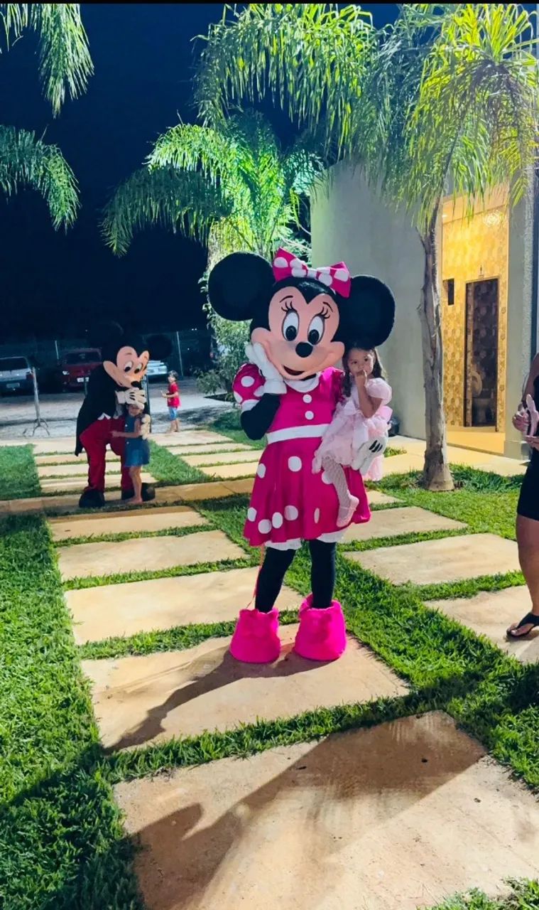 Chacara, Salão de festa, Area gourmet, Para casamentos, festa de 15 anos, comemorações  - Foto 12