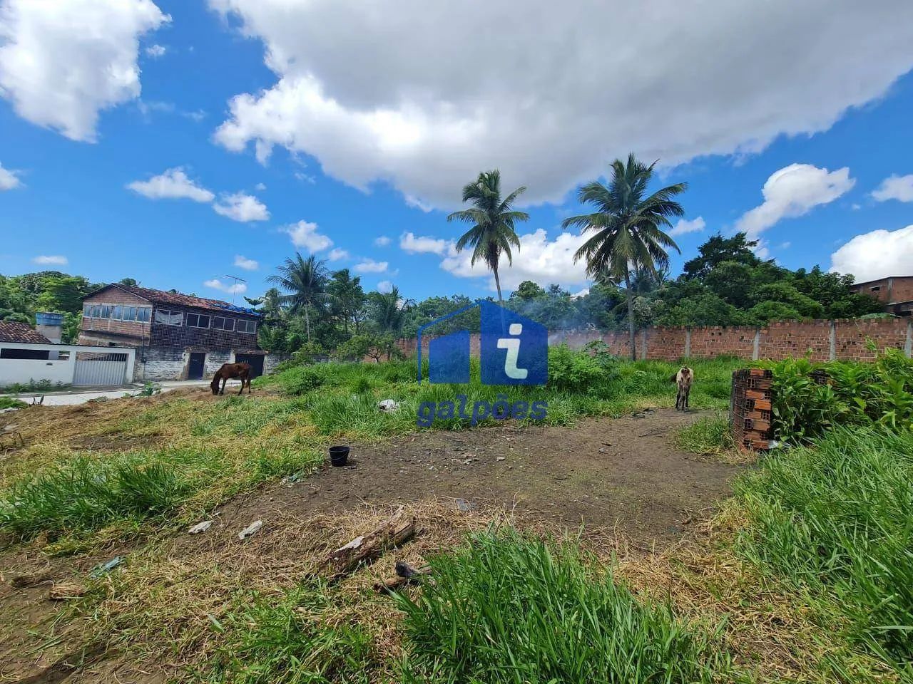 Terreno com 800 m² às margens da BR 101 em Igarassu - PE