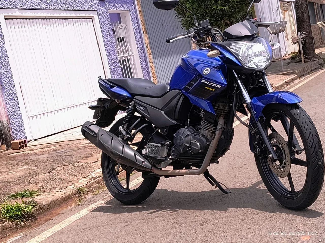Vendo fazer 2021