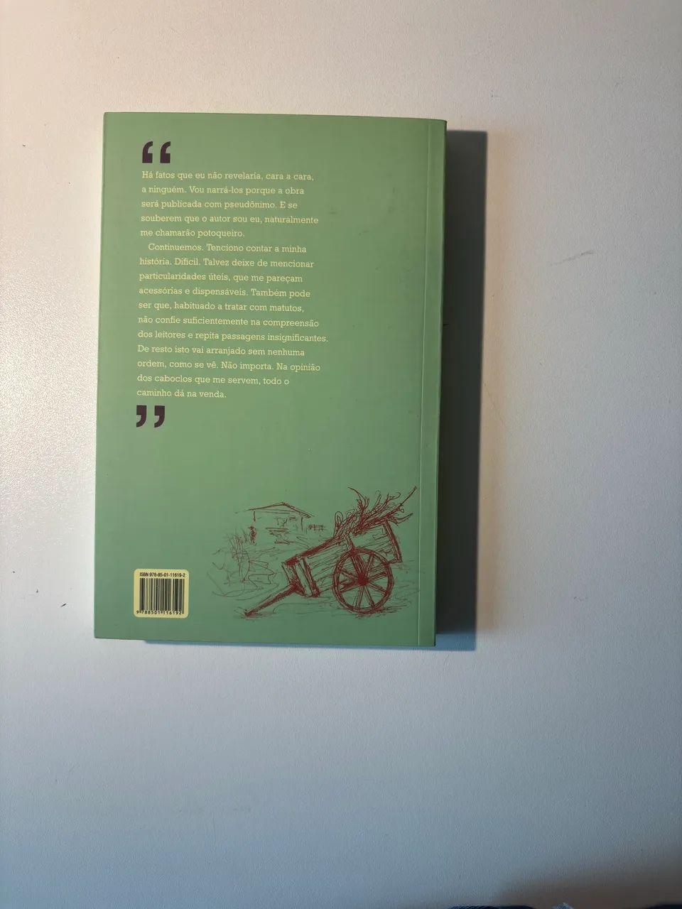 S. Bernardo - Graciliano Ramos  - Foto 2