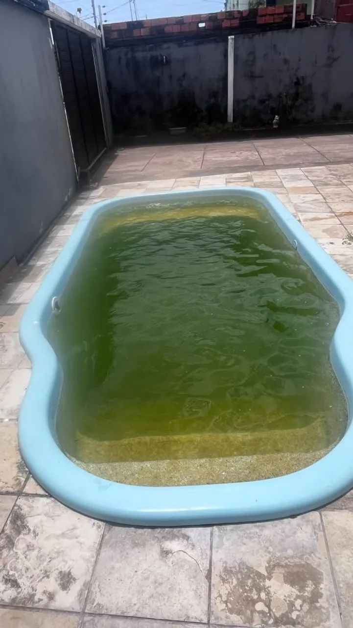Piscinero 