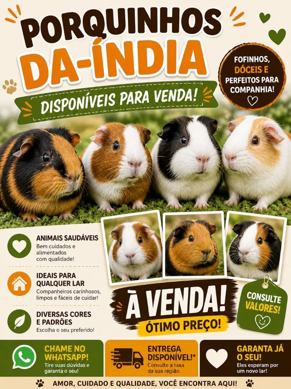 Porquinho da índia Macho e fêmea Disponíveis 