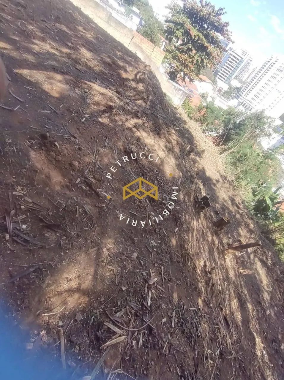 Terreno à venda, 919 m² - Nova Campinas - Campinas/SP - Foto 5