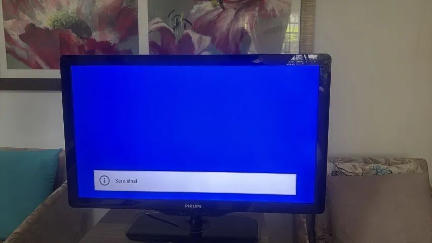 Televisão